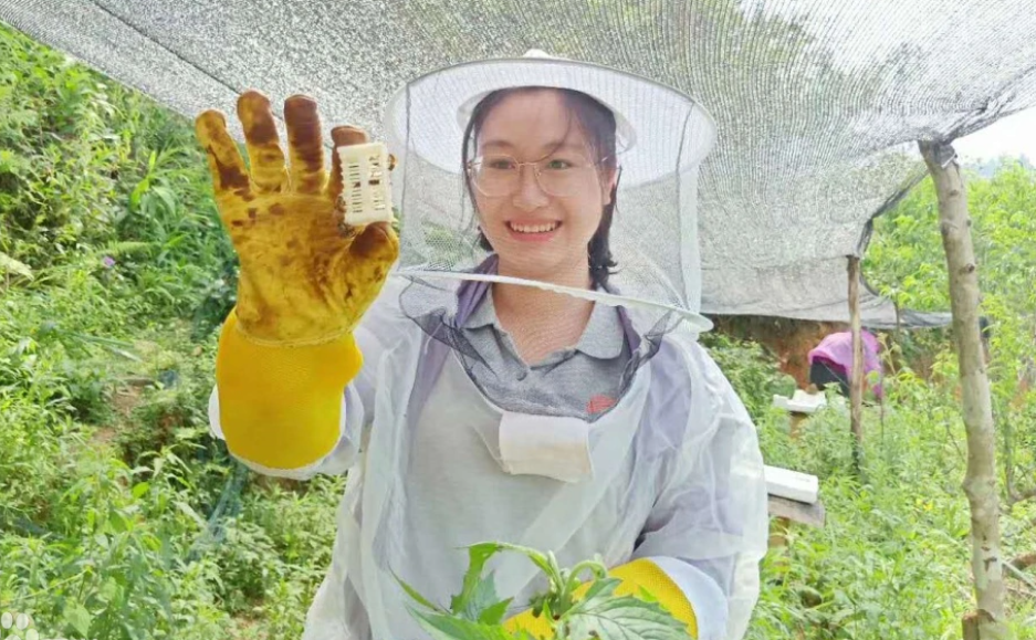 真人真事改编，原型30岁离世，杨蓉《新时代青春之歌》黑马剧无疑