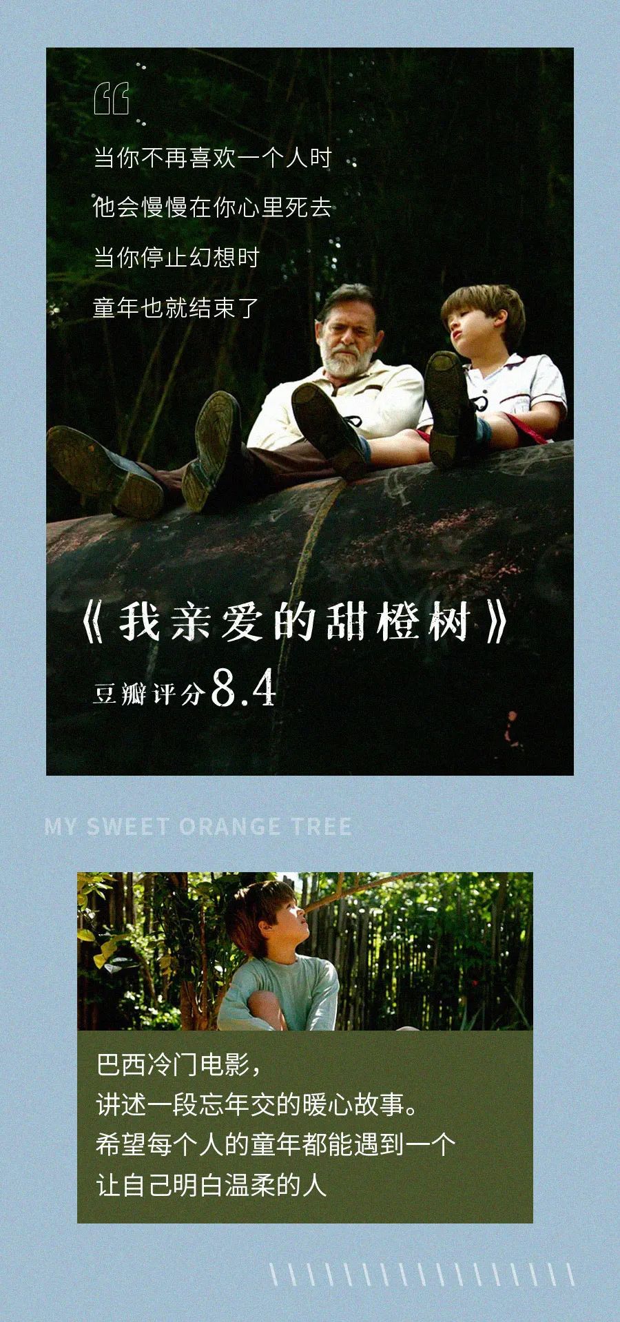 10部适合夏天看的治愈系电影