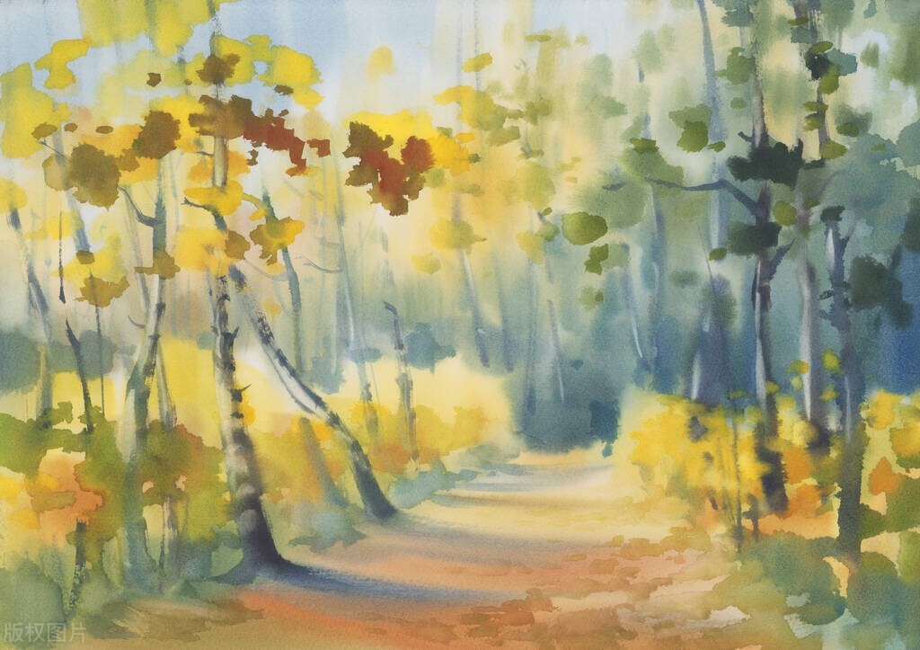 一日一诗《己亥杂诗（第五首）》赏析