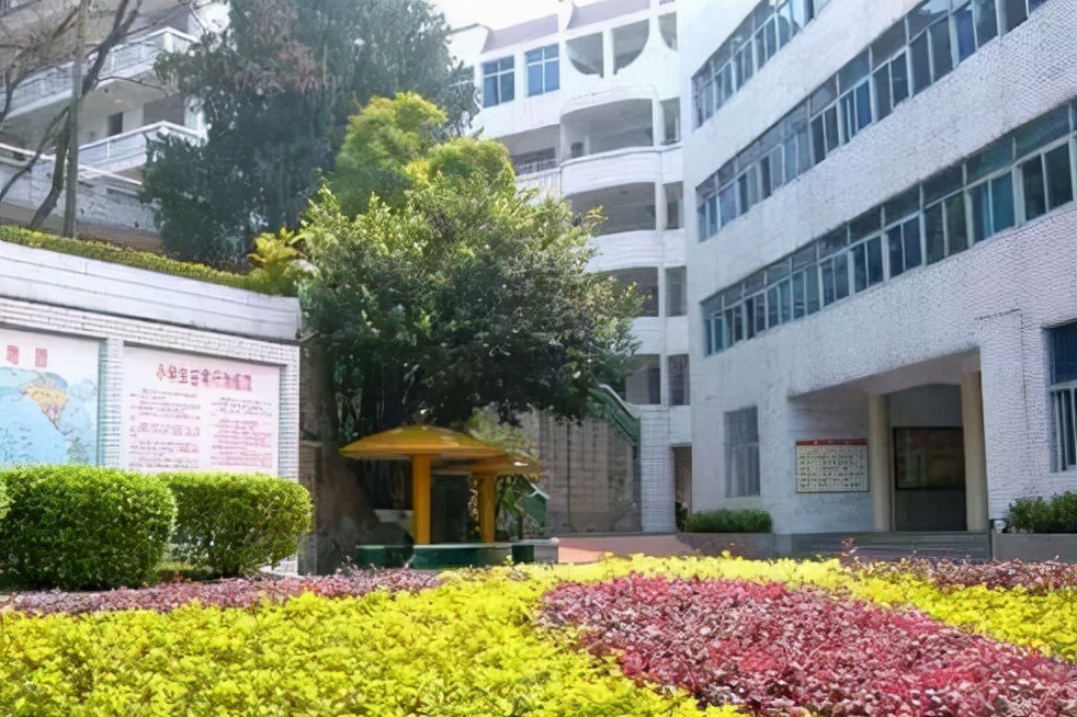 福建高中学校排名发布，福州一中荣获状元，厦门一中成最大黑马