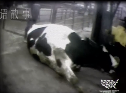 泔水兑牛奶，死老鼠做火腿，近万名儿童死亡，美国食品安全有多差