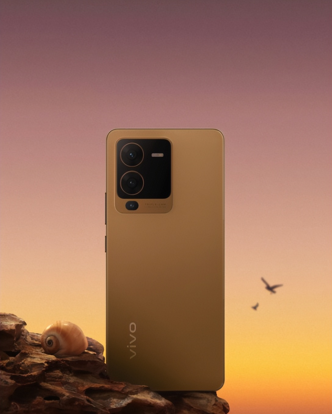 美图呈上！有颜有料，vivo S15系列伴你酷爽一夏