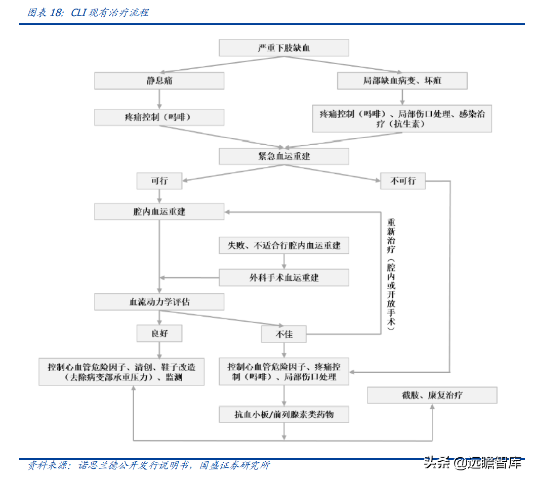 基因治疗大时代，诺思兰德：一马当先，50亿级别重磅单品价值低估