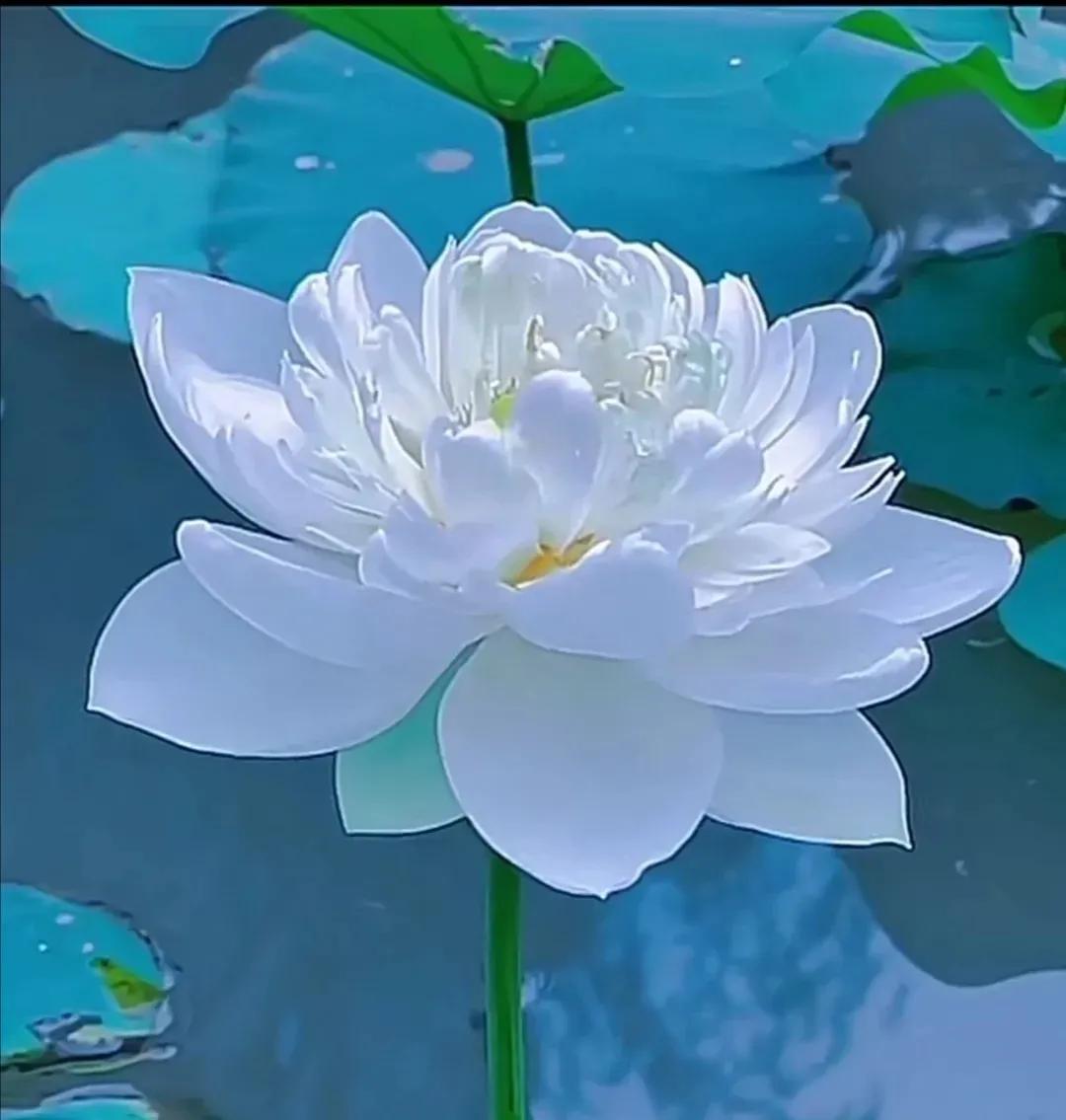 宁静,是心灵平静的需要