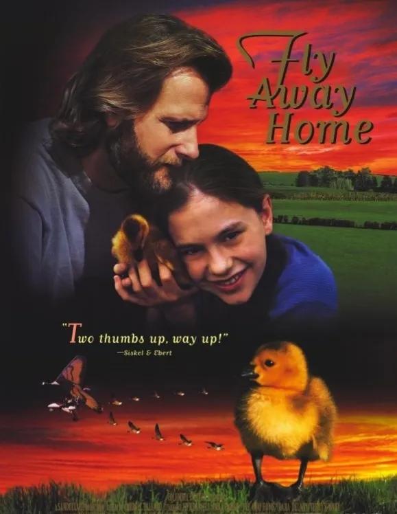 《伴你高飞》电影，让父母看到了如何去爱孩子及陪伴孩子成长