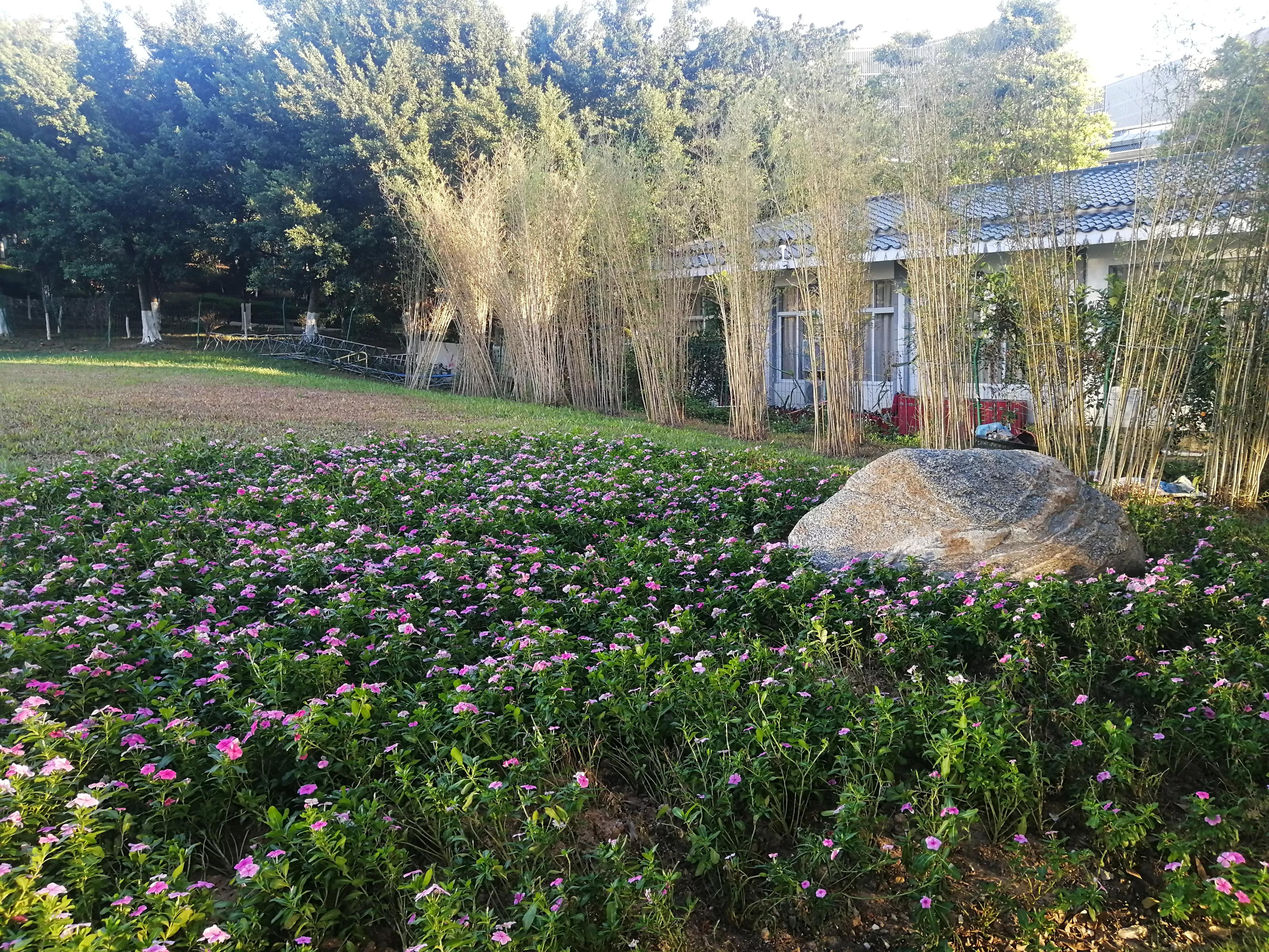 地铁4号线大学城游玩攻略，领略那不一样的广州大学城风光（C篇）