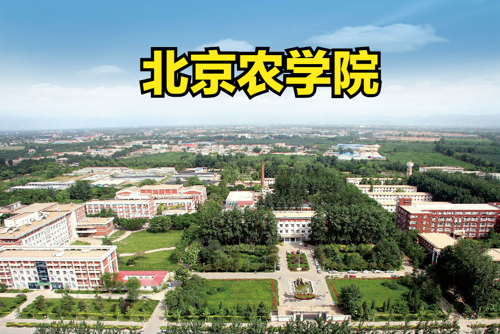 北京上海公办本科院校美术类最低录取线！上海商学院PK北京农学院
