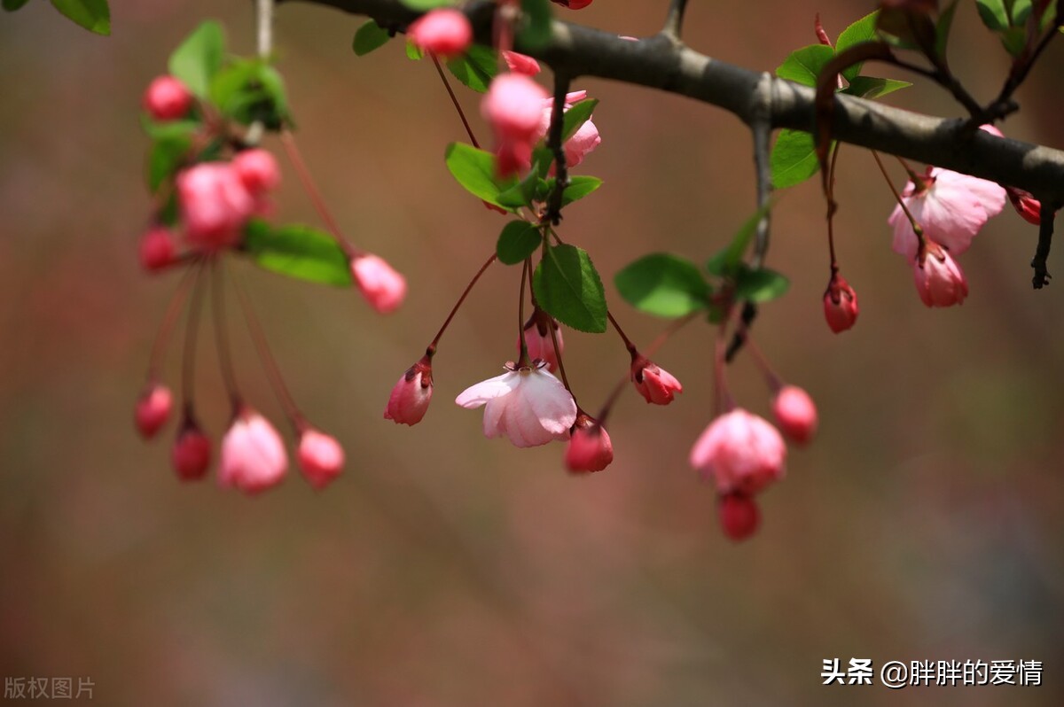 顺生而行，不沉迷过去，不狂热地期待未来，生命这样就好