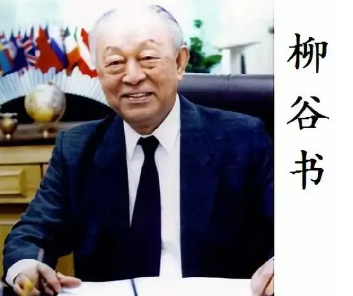 传奇女性柳青：患癌5年，离异带3娃，把滴滴做成行业老大