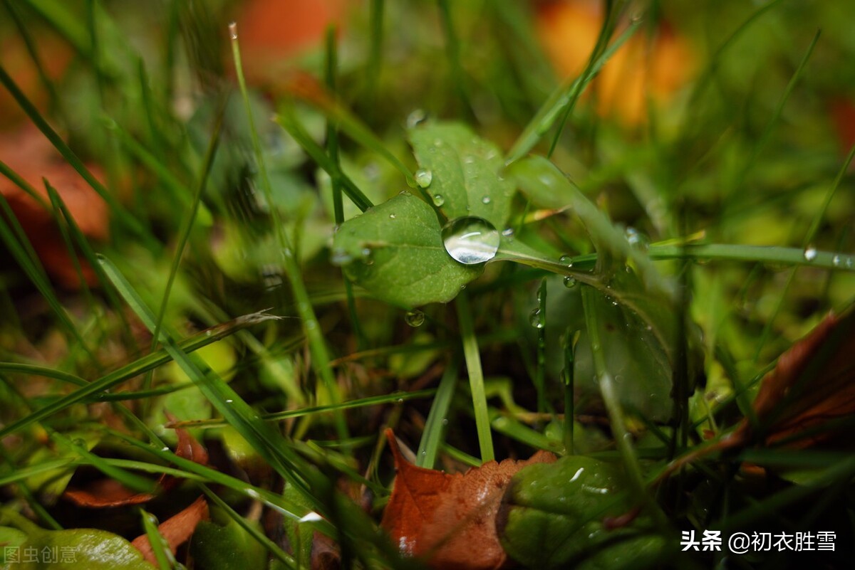 温柔冬雨五首：一阵暗香风送到，梅花窗外雨绵绵