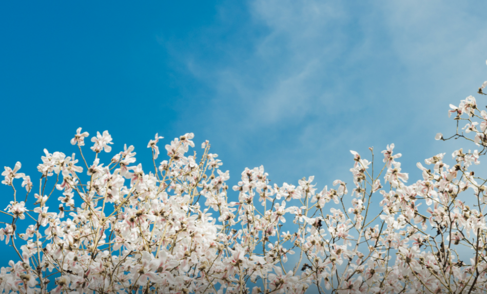 全国政法类大学排名前十强：法大排在第一，考上“不愁就业”