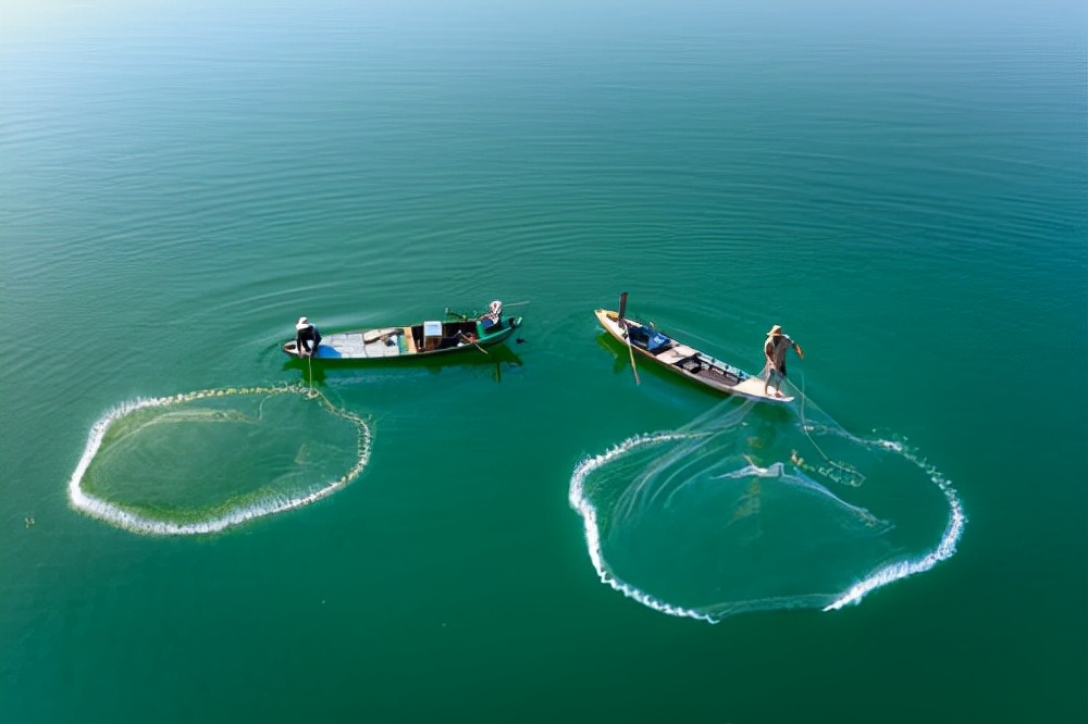 研究表明，发光渔网将有助于鱼类和渔业