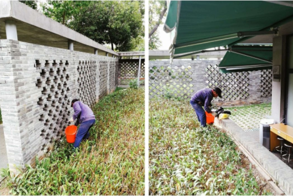 剧毒眼镜蛇现身贵州一学校！蛇真的不怕雄黄，如何才能防蛇？