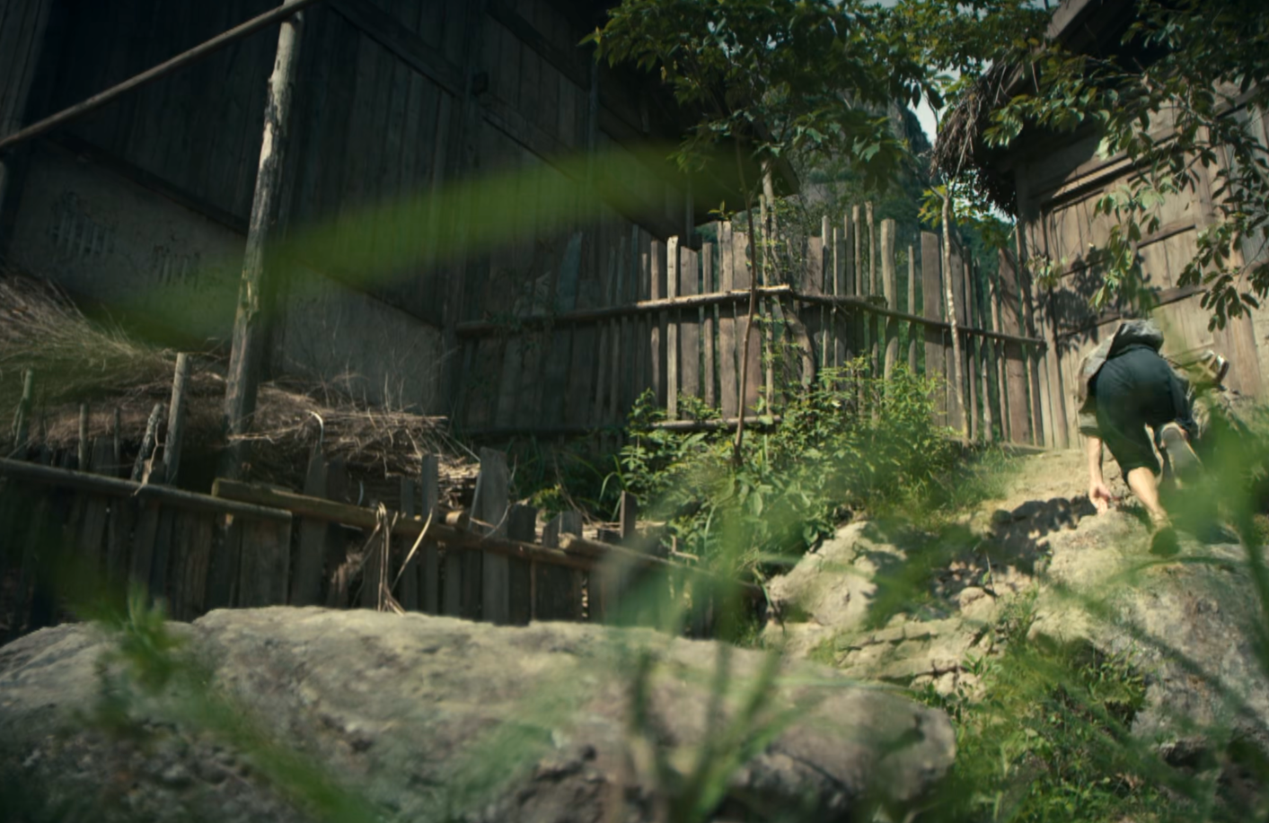 播出1集，就拿下收视第一！楼健一出手，“王炸”就来了