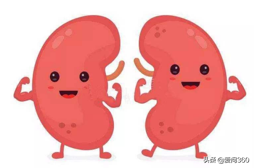 肾脏到底好不好，头发也能看出来，教你几个判断肾脏问题的方法