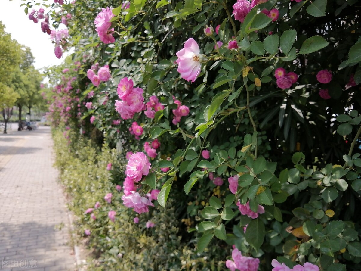 安徽财经大学2022年硕士研究生招生调剂公告