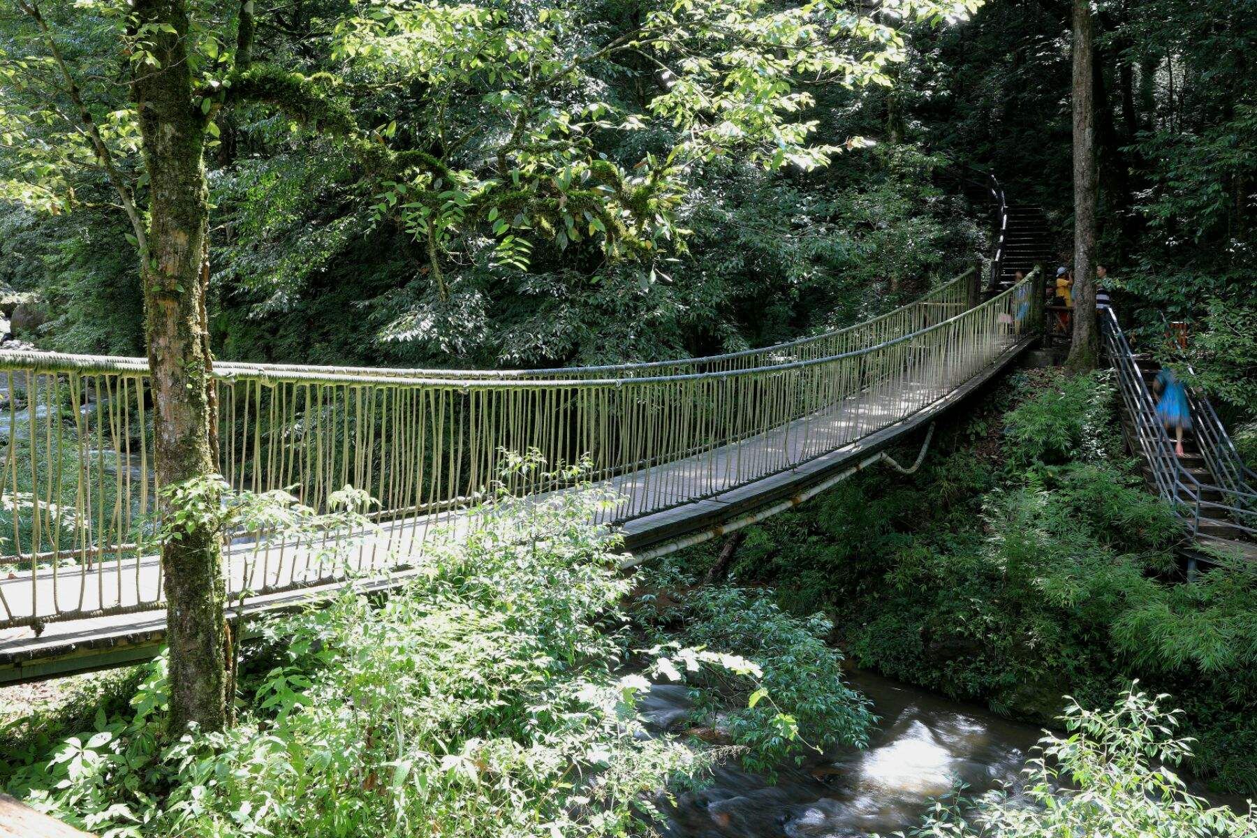 四川有个国家公园，它被誉为“天然氧吧”