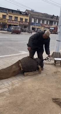 魔幻的币圈Q1！笑死我算了