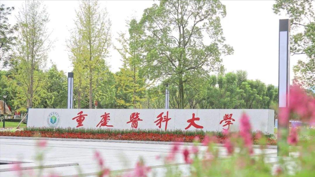 同一所高校，不同专业录取分数差有多大？重庆高考最高达到133分