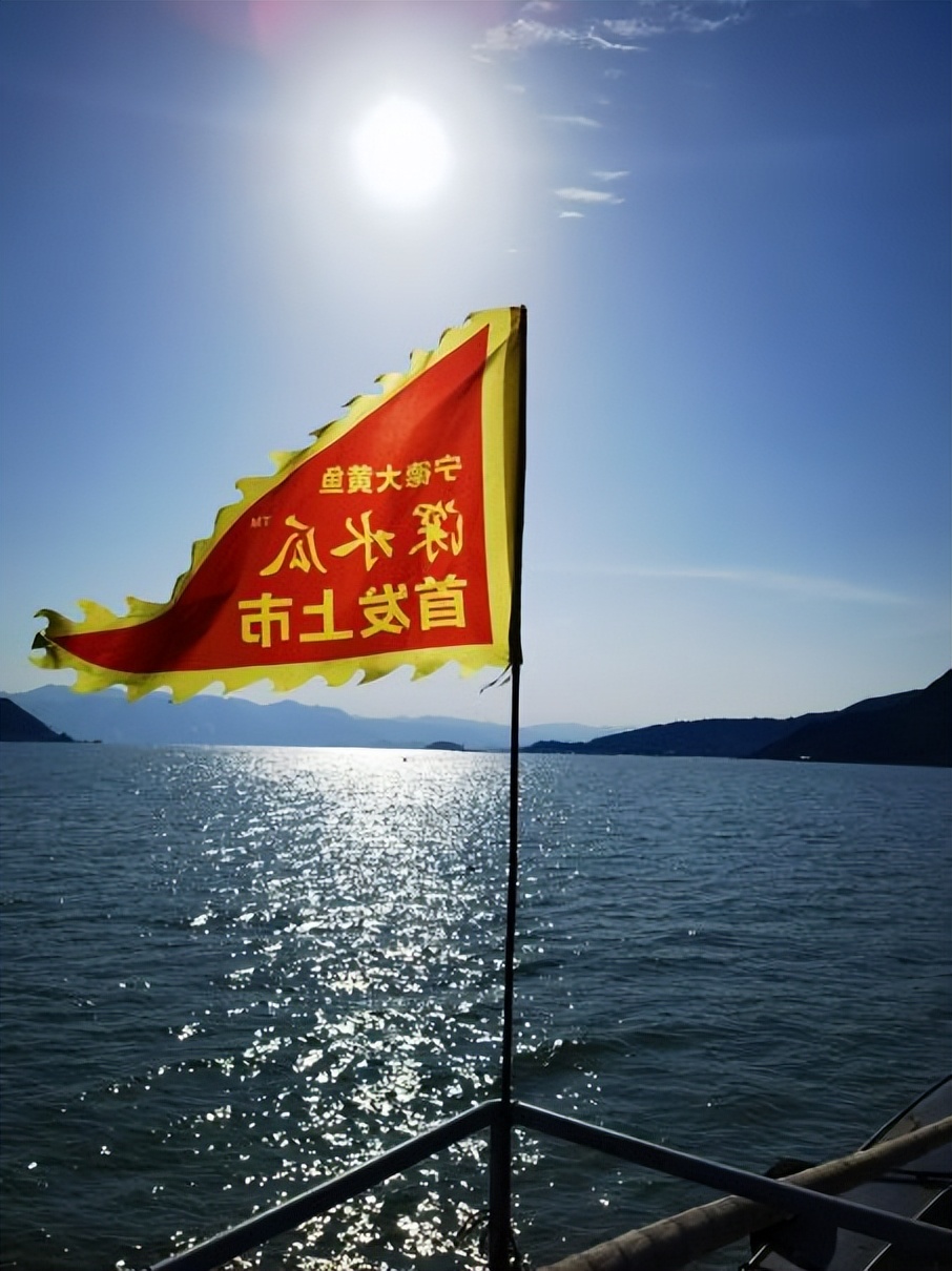国鱼复兴丨宁德大黄鱼“深水瓜”品牌首发圆满落地