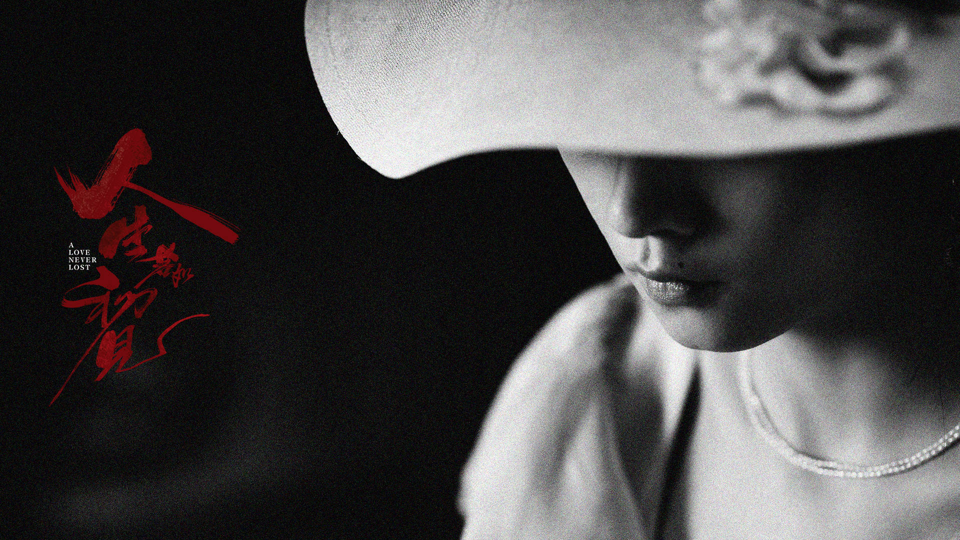 40集历史剧《人生若如初见》今晚开播，12位实力派坐镇，该火了