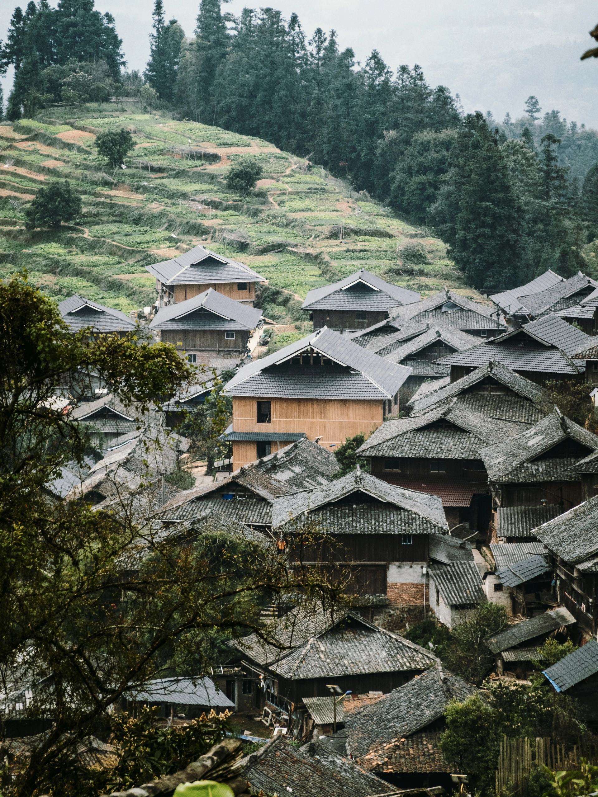 广州出发4个小时抵达，现实版世外桃源，两天一夜人均500攻略