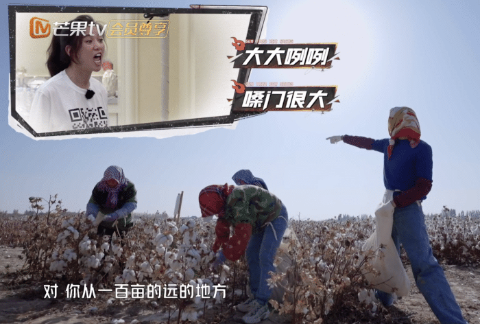 张智霖送袁咏仪紫薯芋泥，用谐音梗彪彪，应采儿喊话陈小春学着点