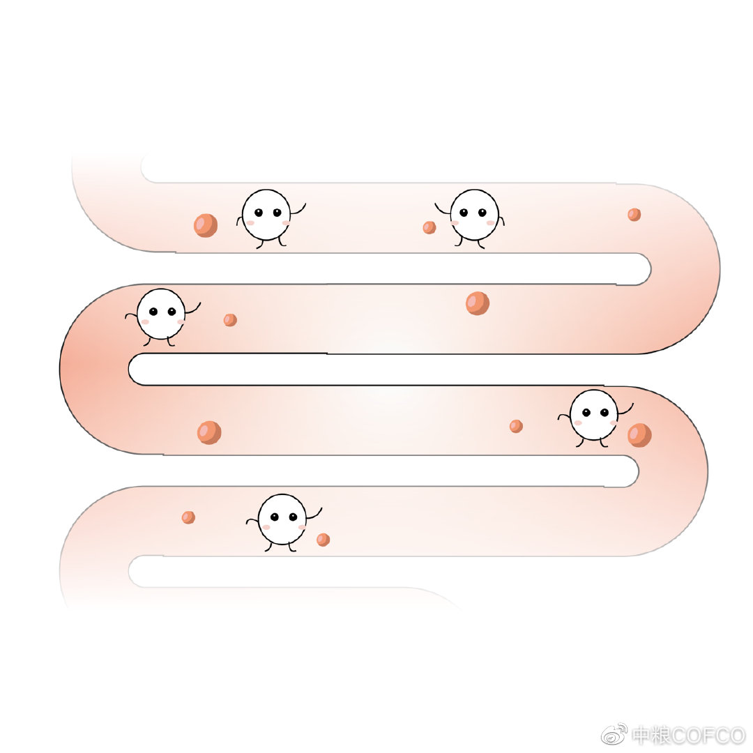 吃豆有讲究，怎么吃豆类更科学？来看看你吃对了吗？