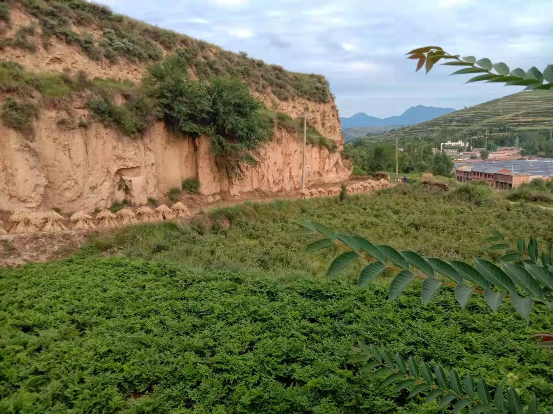 临夏州旅游大通道康乐县段沿线景点介绍