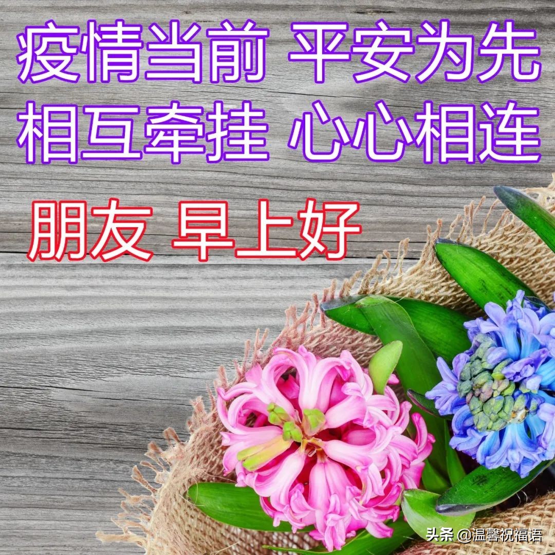 疫情期间祝福暖心的图片 免打字精致走心的春天早安图片