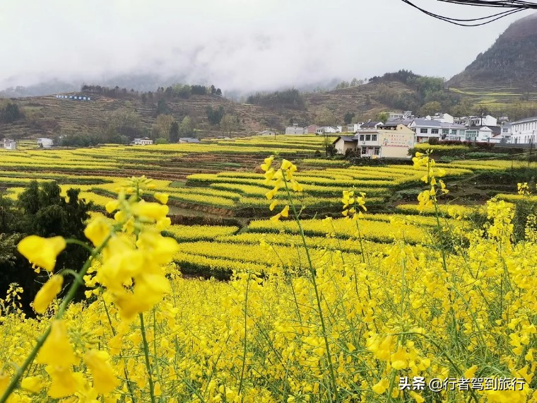 线路·周末自驾｜2天：凤堰梯田 后柳水乡 雁山瀑布 石泉老街