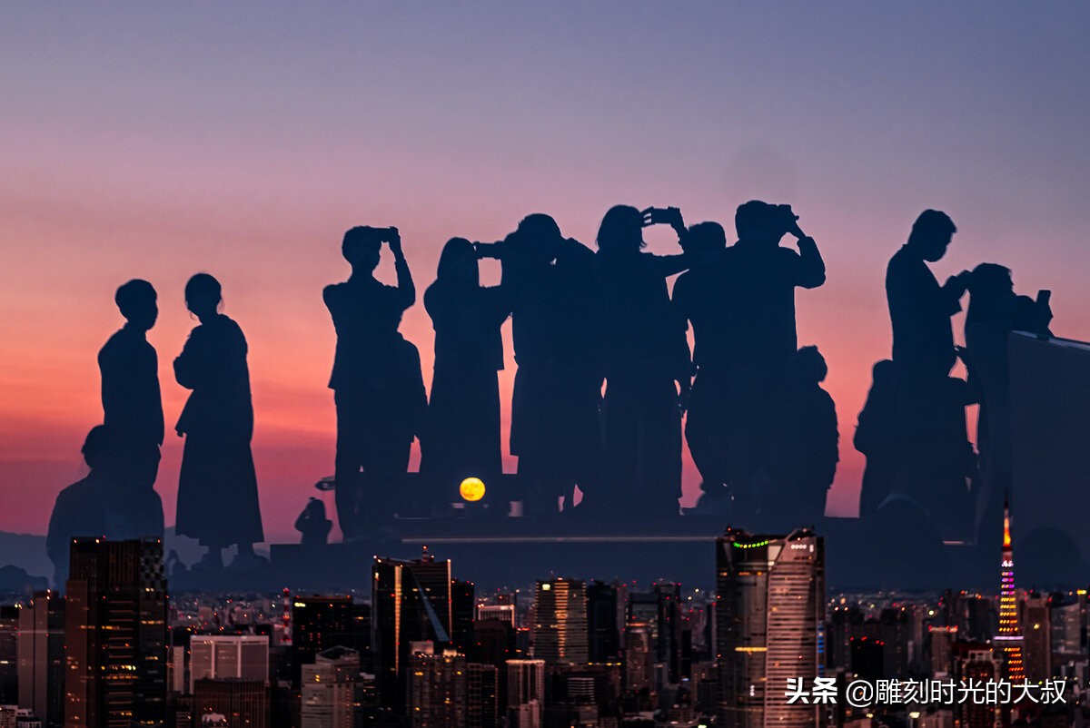 20张 2022 年度索尼世界摄影奖获奖者照片欣赏