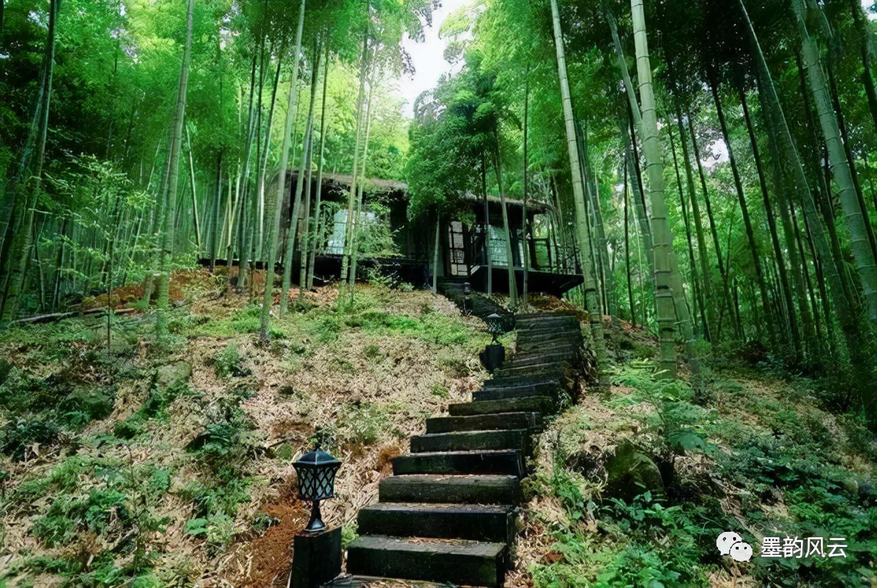枝叶婆娑奏妙音，顶天立地尚虚心。藤县新庆诗社，书协，竹专题