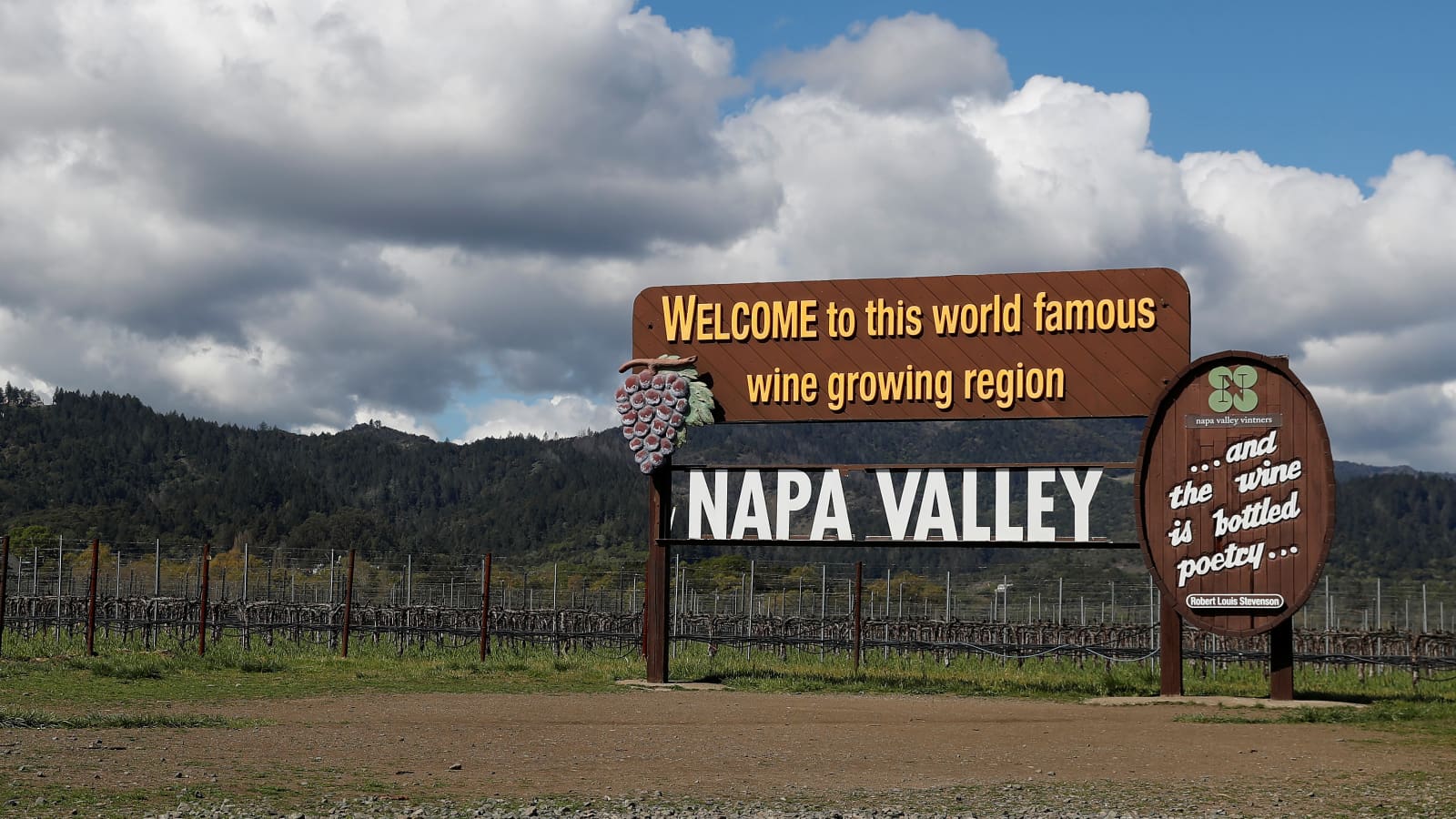 酒类品牌纷纷入局体验经济