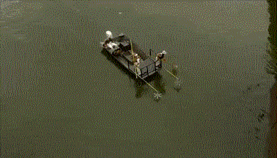 魔幻的币圈Q1！笑死我算了