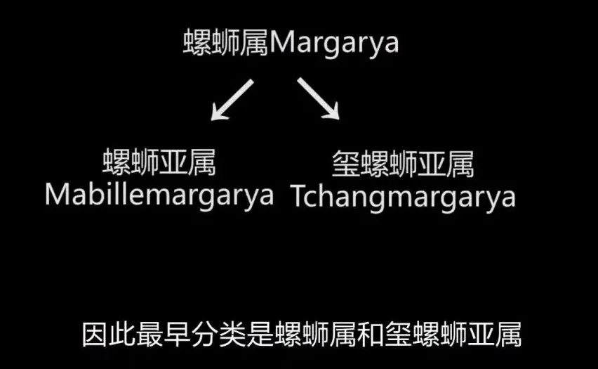 此螺蛳非彼螺蛳：受保护的螺蛳与石田螺和圆田螺