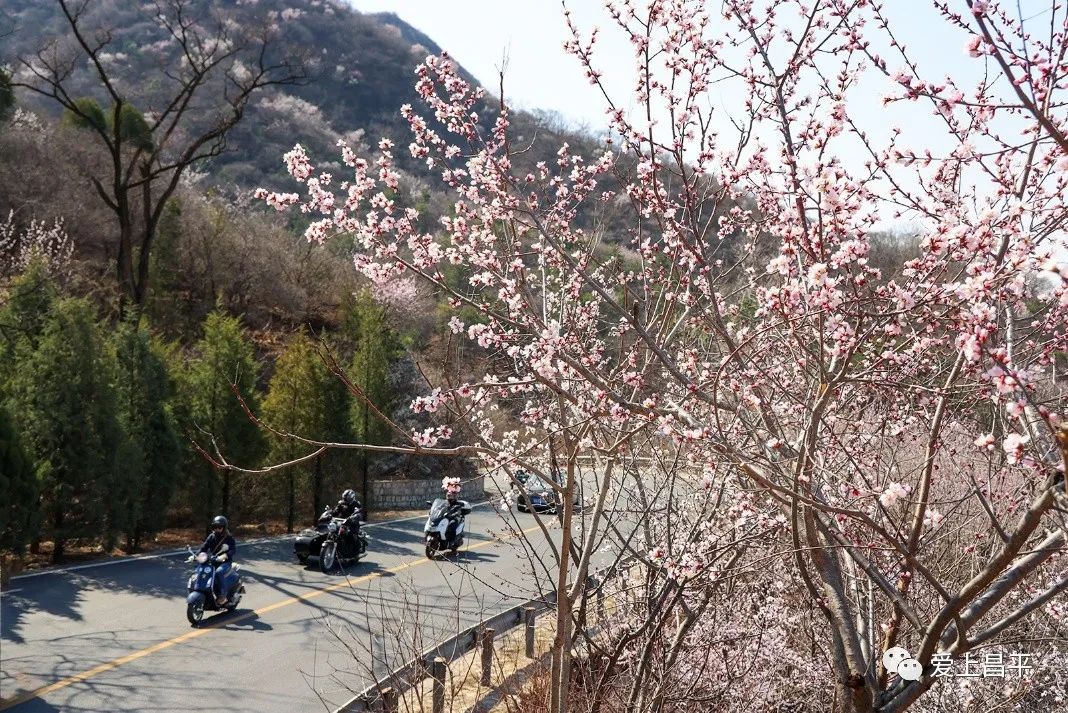 美成仙境的京郊延壽醉美公路，玩賞正當(dāng)時(shí)！
