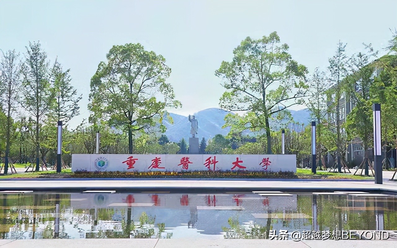 重庆医科大学2021年各专业录取分数和位次情况（四川、重庆）