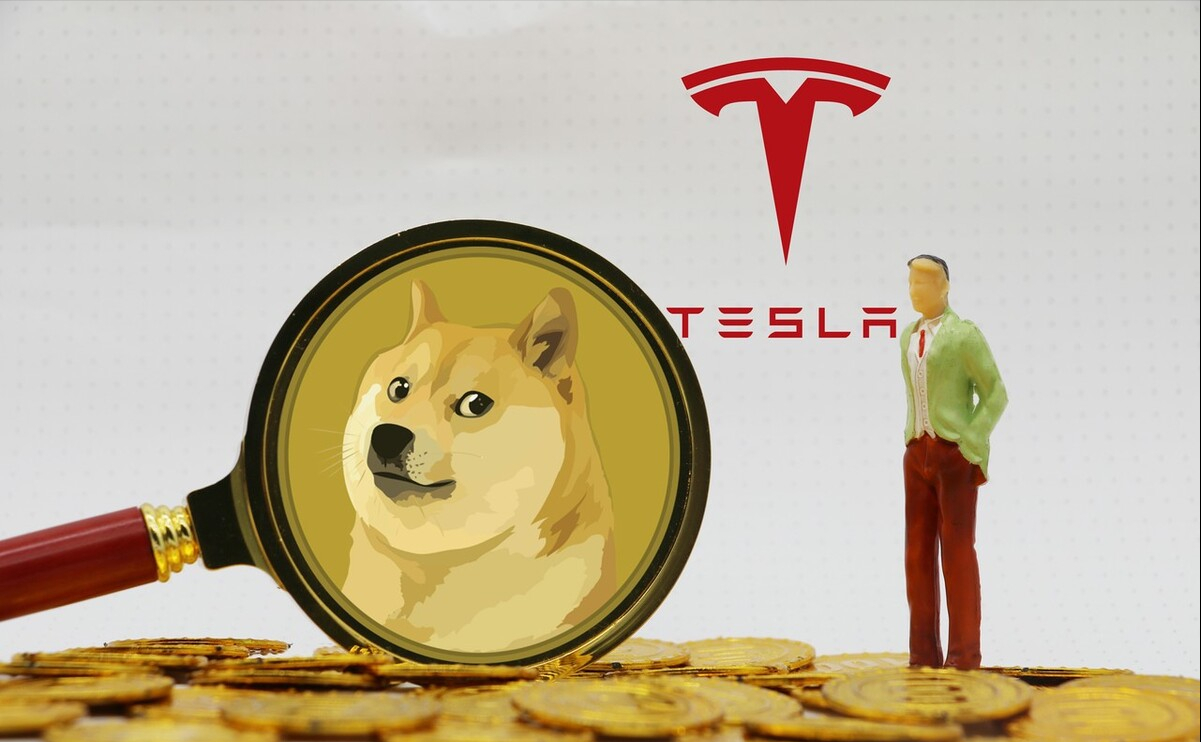 864平豪华餐厅，支持虚拟币支付？马斯克又开始了，韭菜请注意