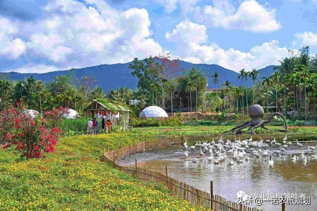 双减政策下,如何凭借“5+2”模式发展农旅综合体
