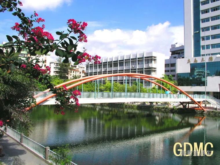 考上这些大学就像被流放？（学思行河北张家口高考志愿填报美术）