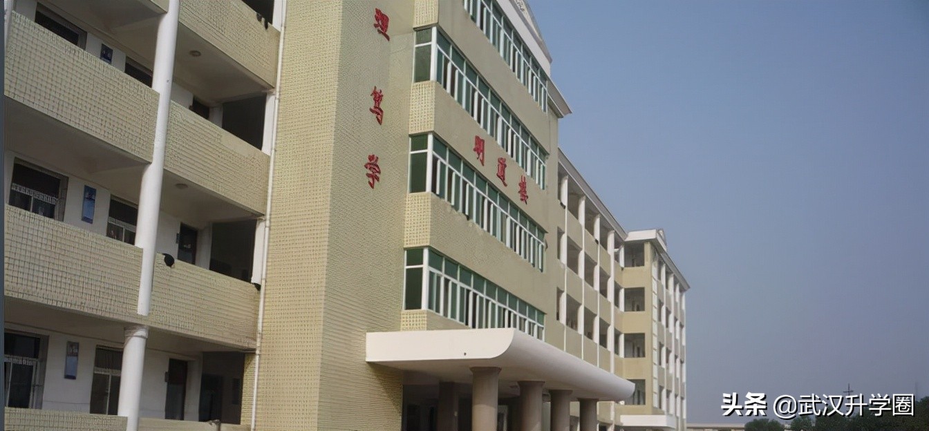 高中系列 丨黄陂七中全面解读！成绩、招生情况大盘点