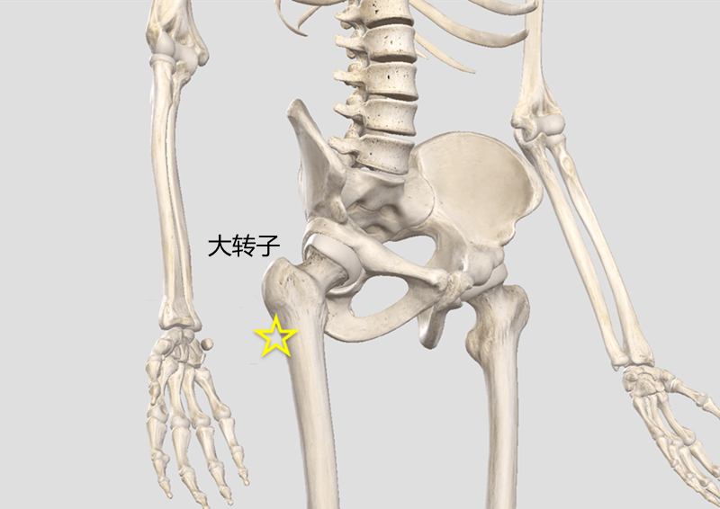 臀部外側的5種疼痛,都指向一種病:大轉子滑囊炎