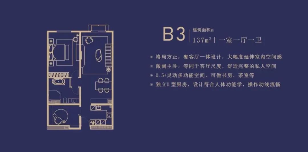 东城 王府井旁边的一手新房 丽苑太和 总价900万起