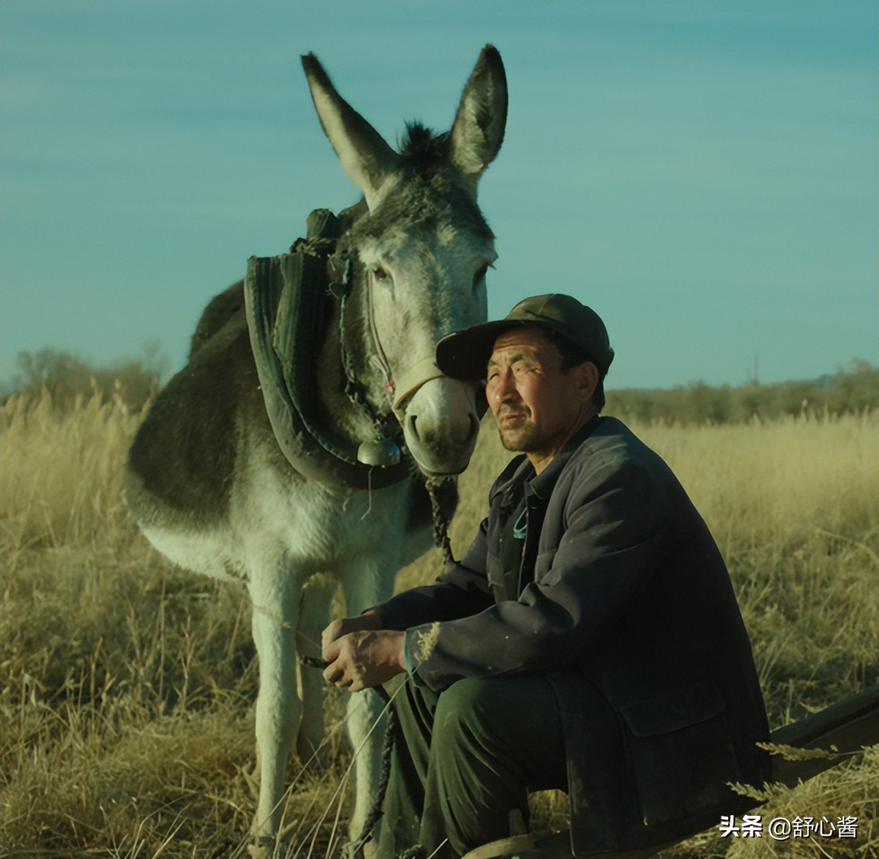 海清灰头土脸，“毁容式”出演，华语影片年度最高分