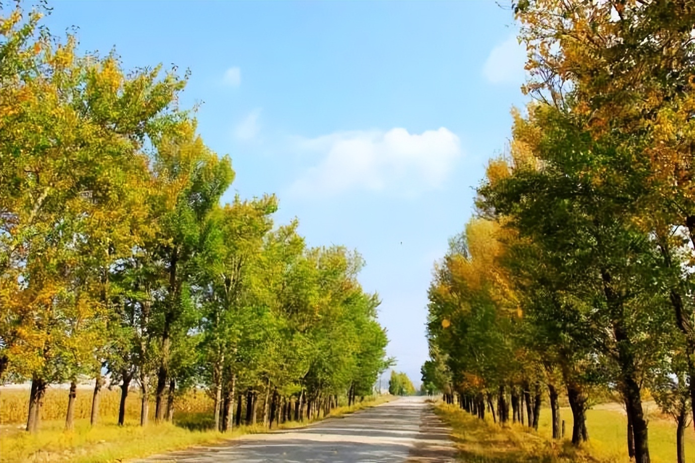 今天，全国热搜！总要去趟山西吧！