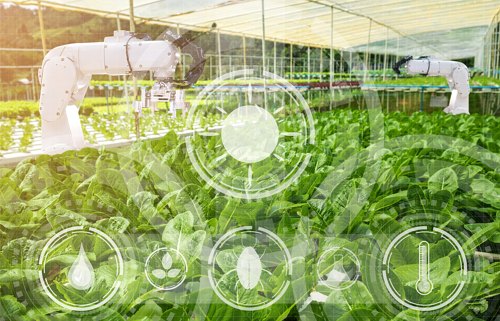 智慧农业的未来——科聪整体解决方案助力农业生产自动化