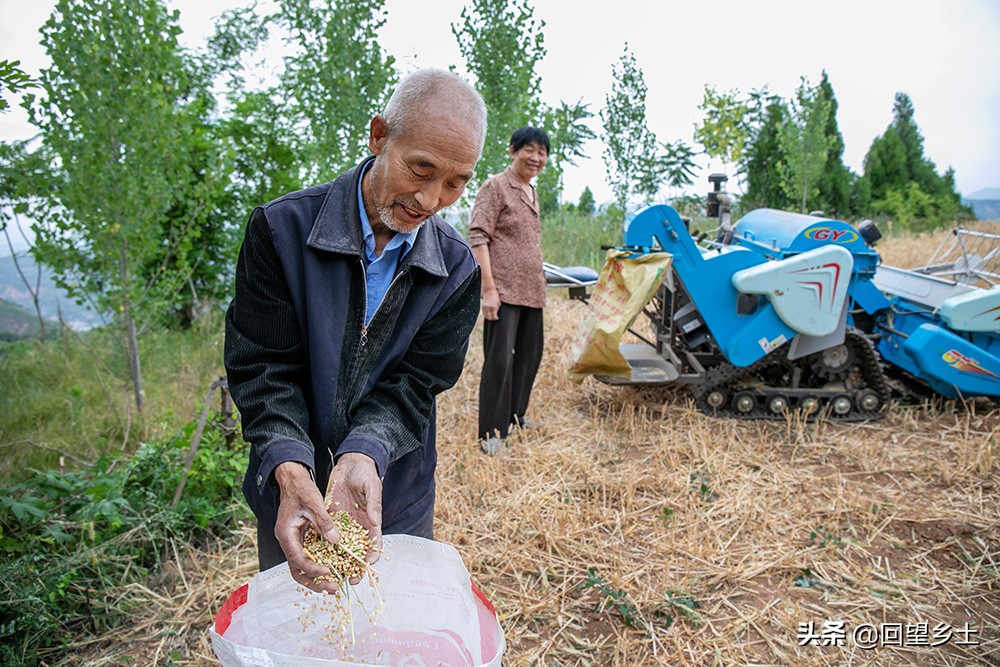 小微農(nóng)機(jī)具農(nóng)家好幫手 過去一天的活現(xiàn)在不到1小時搞定 真爽