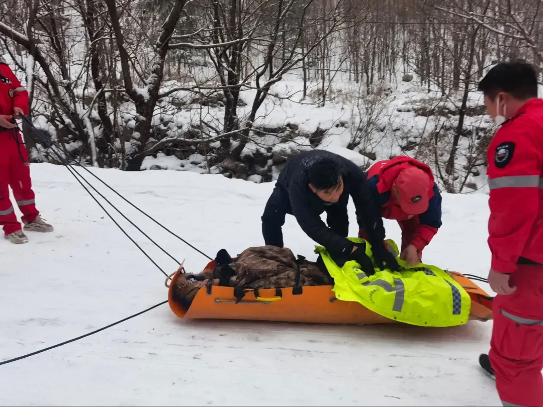 玩雪滑冰出事了!一家三口受伤被困祥峪森林公园景区