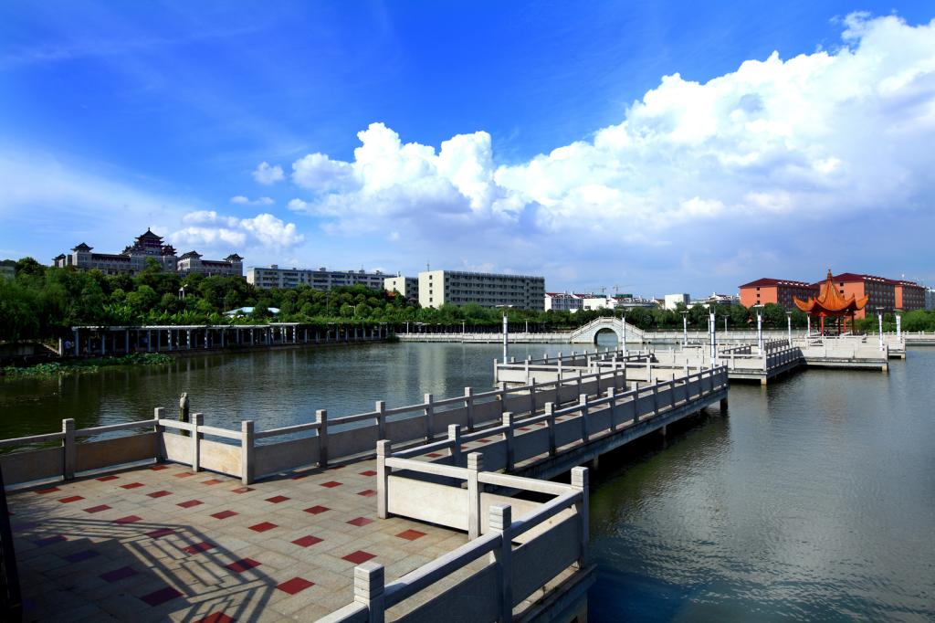 专科院校师资力量分析，深圳职业技术学院成标杆，60分以上占8.6%